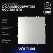 Выключатель с самовозвратом встраиваемый Voltum S70 одноклавишный 10А, (сталь) VLS010605